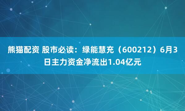 熊猫配资 股市必读：绿能慧充（600212）6月3日主力资金净流出1.04亿元
