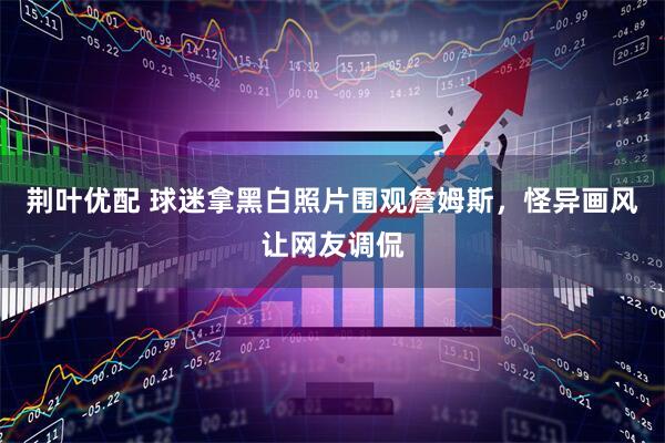 荆叶优配 球迷拿黑白照片围观詹姆斯，怪异画风让网友调侃