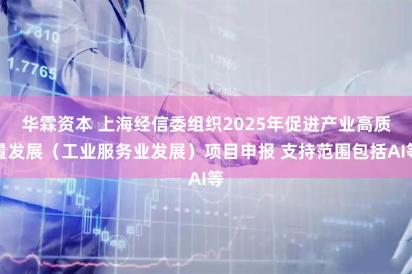 华霖资本 上海经信委组织2025年促进产业高质量发展（工业服务业发展）项目申报 支持范围包括AI等
