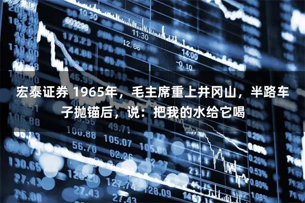 宏泰证券 1965年，毛主席重上井冈山，半路车子抛锚后，说：把我的水给它喝